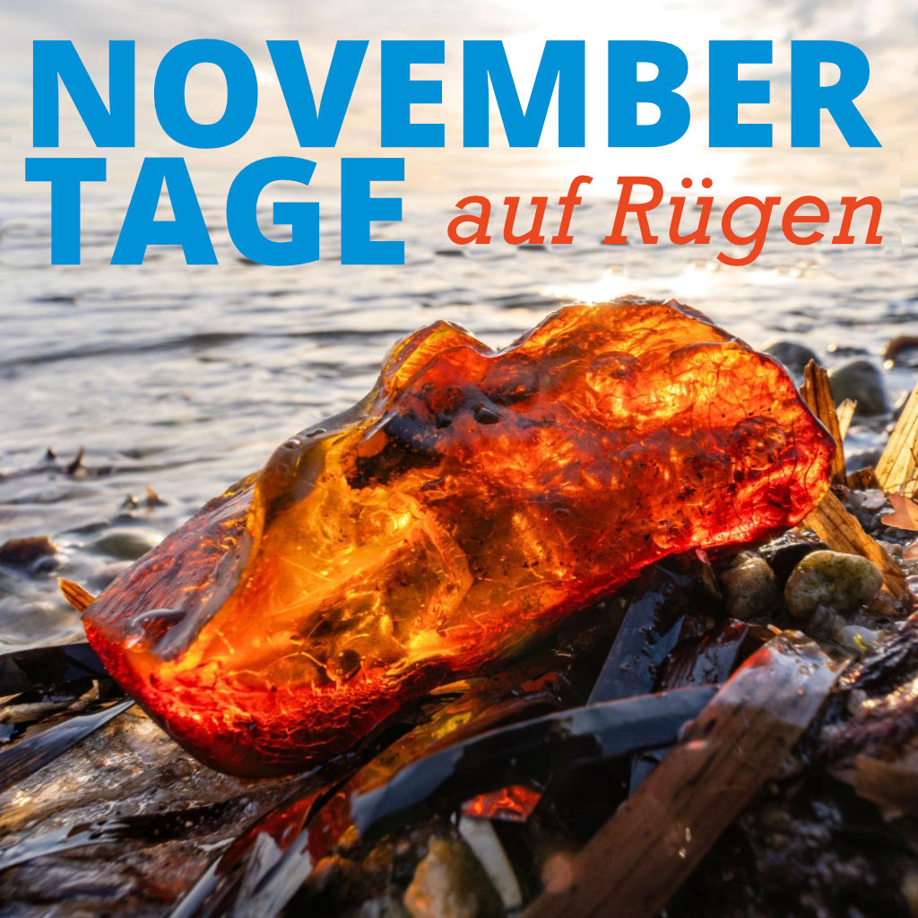 Novembertage auf Rügen